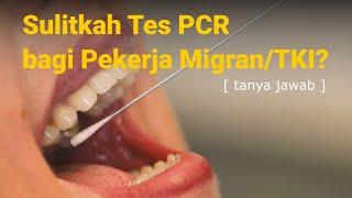 Cover Image for Test PCR untuk Pekerja Migran/TKI di Malaysia
